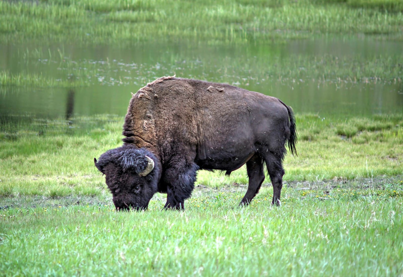 Discover Jamestown, ND
