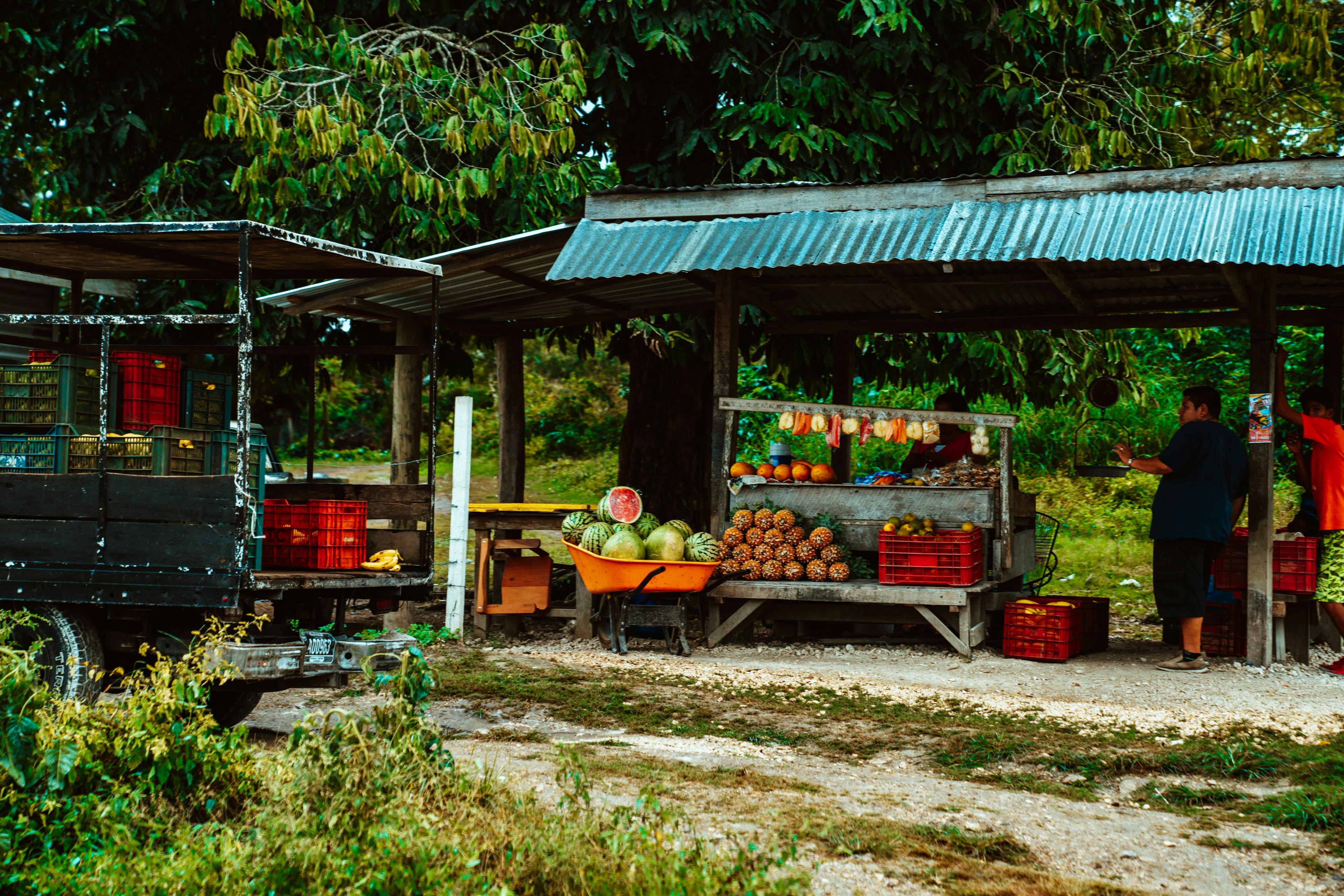 Assorted fresh fruits displayed in wooden crates at an outdoor farm stand under a blue canopy tent