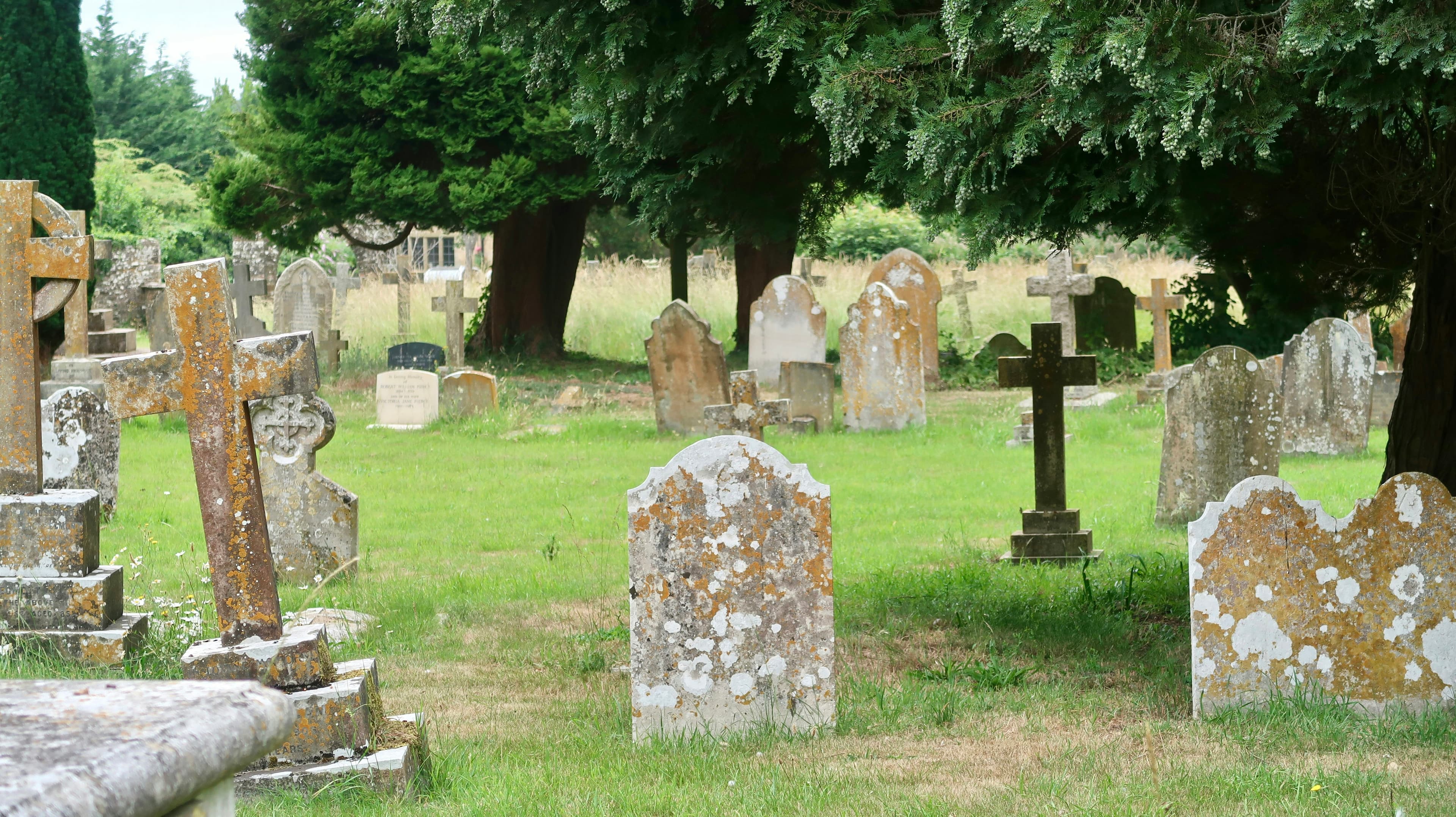 Weathered old gravestones scattered among mature trees in a quiet, overgrown cemetery